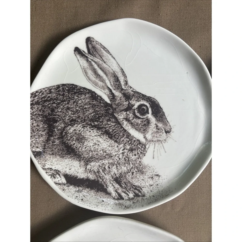 Arlington Designs 4 Ceramic Plates Rabbits Bunny Whimsical Decor ONLY Crazing 6